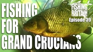 fishing for crucian carp.jpg